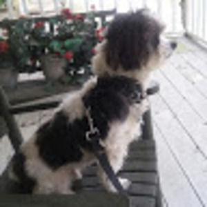 Meet your Posher, Tina